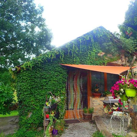 Mas De La Boheme - L'Hermet Bed & Breakfast Saint-Leons Luaran gambar