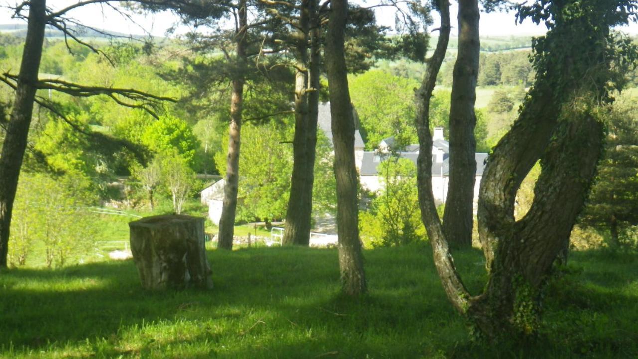 Mas De La Boheme - L'Hermet Saint-Leons Luaran gambar