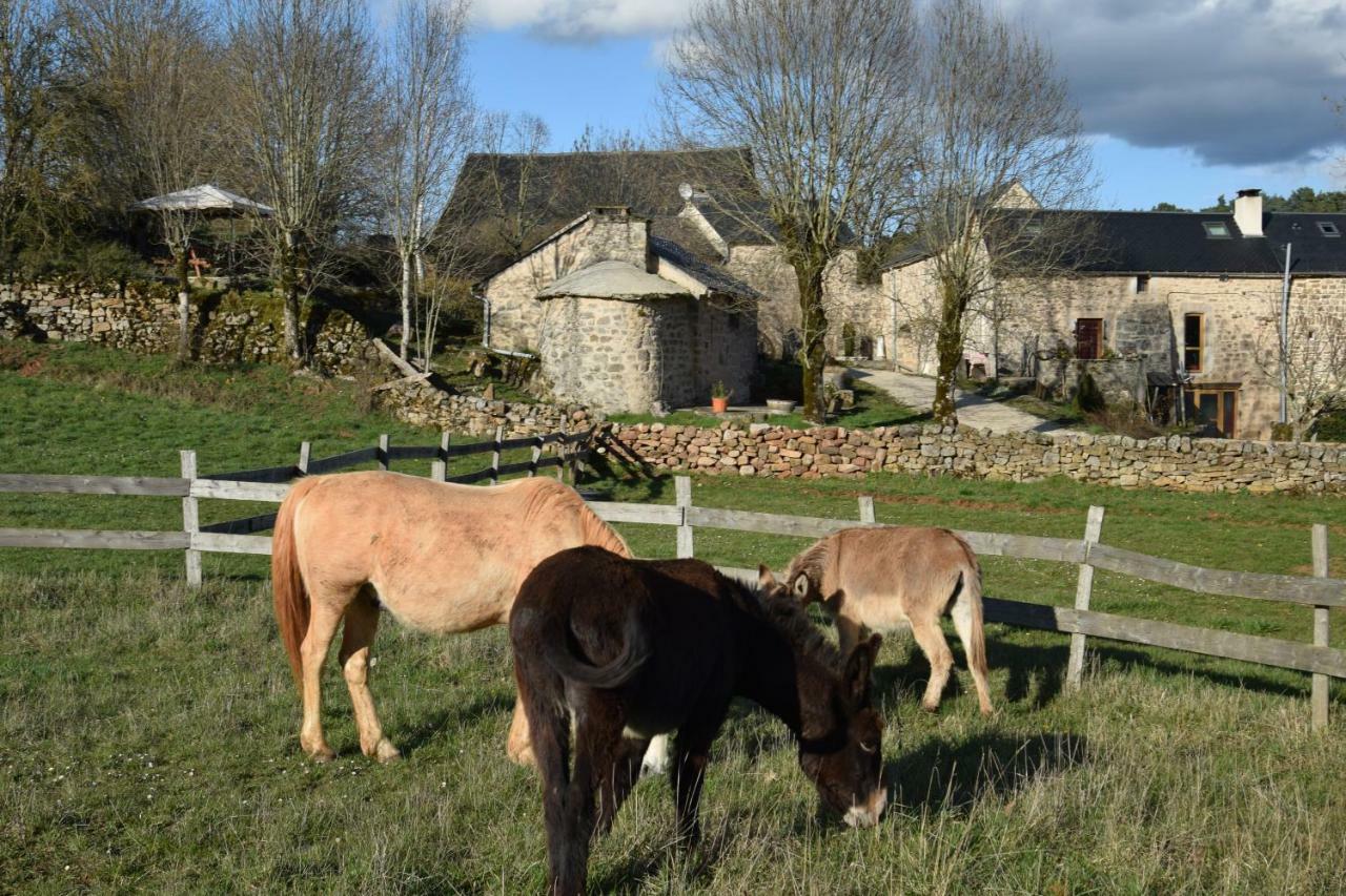 Mas De La Boheme - L'Hermet Bed & Breakfast Saint-Leons Luaran gambar